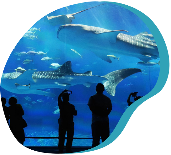 巨大水槽｜写真