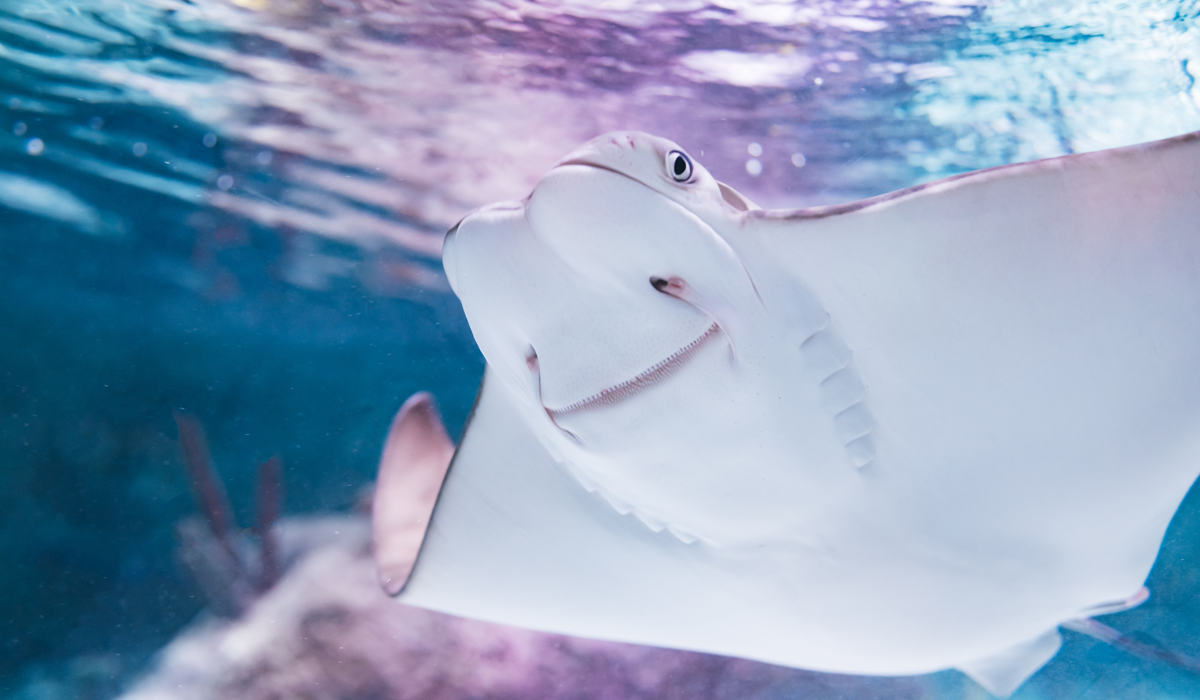 メインビジュアル2