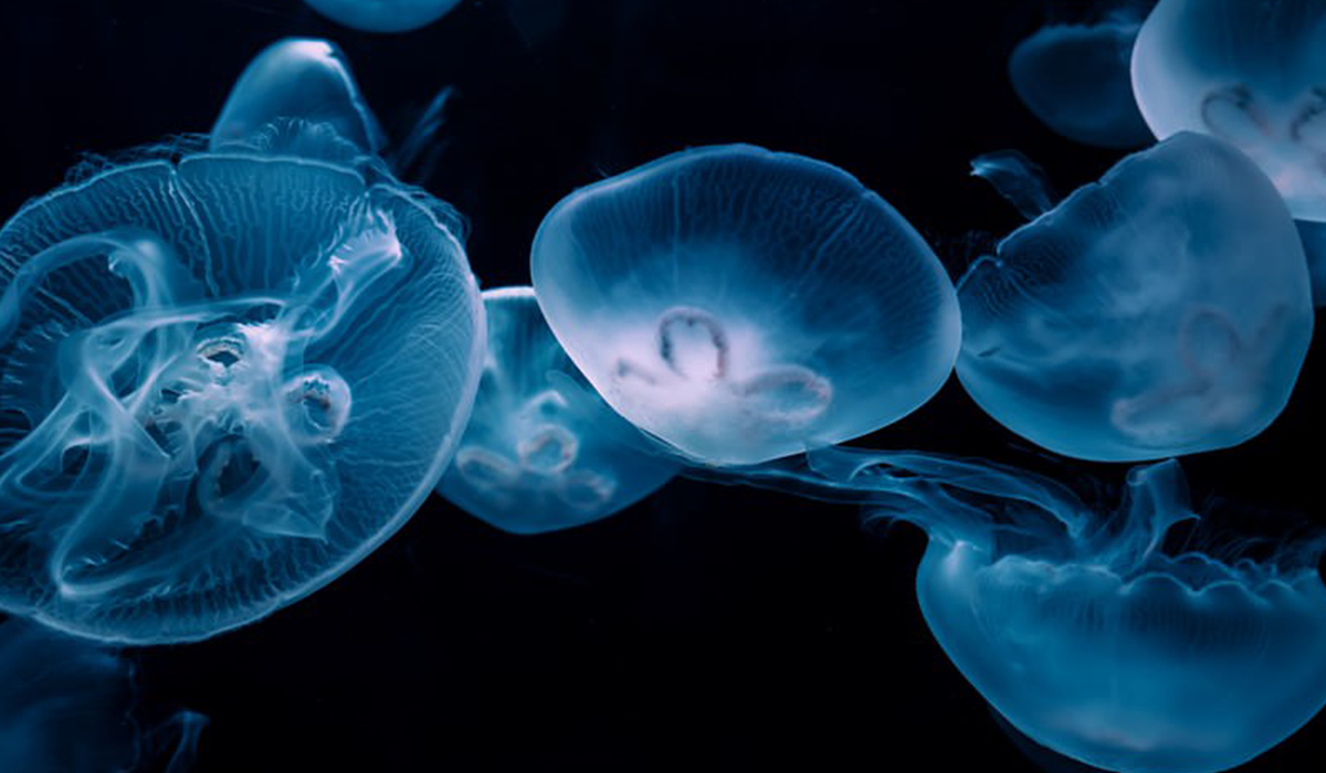 メインビジュアル4