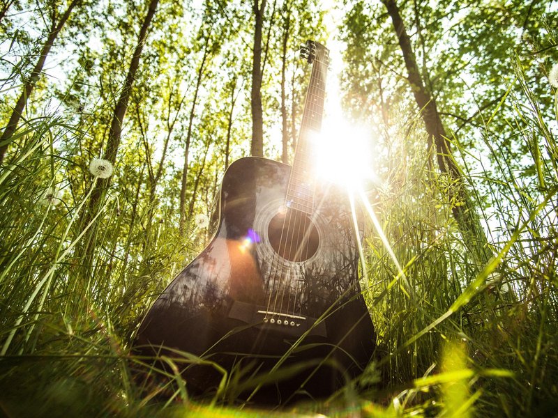 森のうたライブ by ふれあい音楽隊