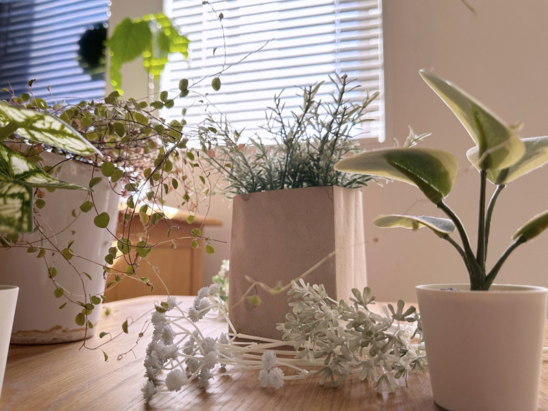 写真｜ナチュラルガーデン