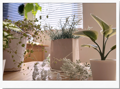 写真｜物販ブース